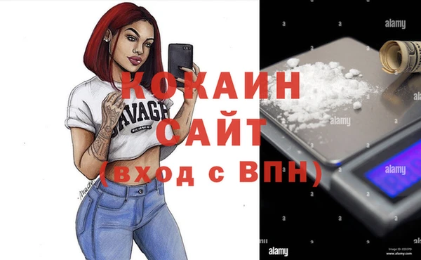 гидра Няндома