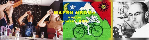 гидра Няндома