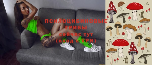 соль ск Осташков
