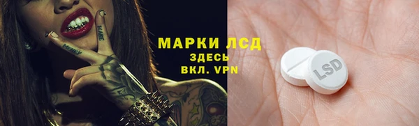 гидра Няндома