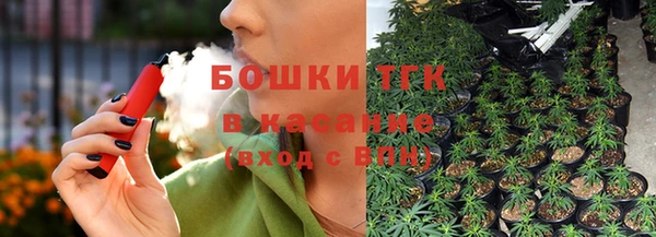 гидра Няндома