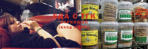 гидра Няндома