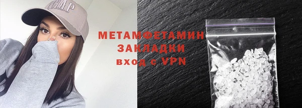гидра Няндома