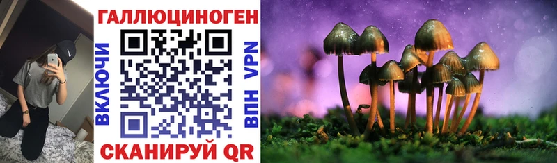 МЕГА ТОР  Бугуруслан  Псилоцибиновые грибы GOLDEN TEACHER 